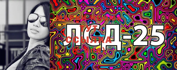 ПСИЛОЦИБИНОВЫЕ ГРИБЫ Вязьма