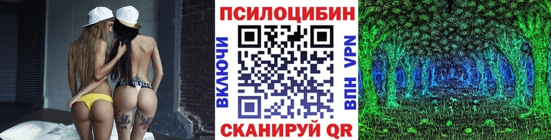 даркнет формула  Черкесск  Псилоцибиновые грибы Psilocybe 